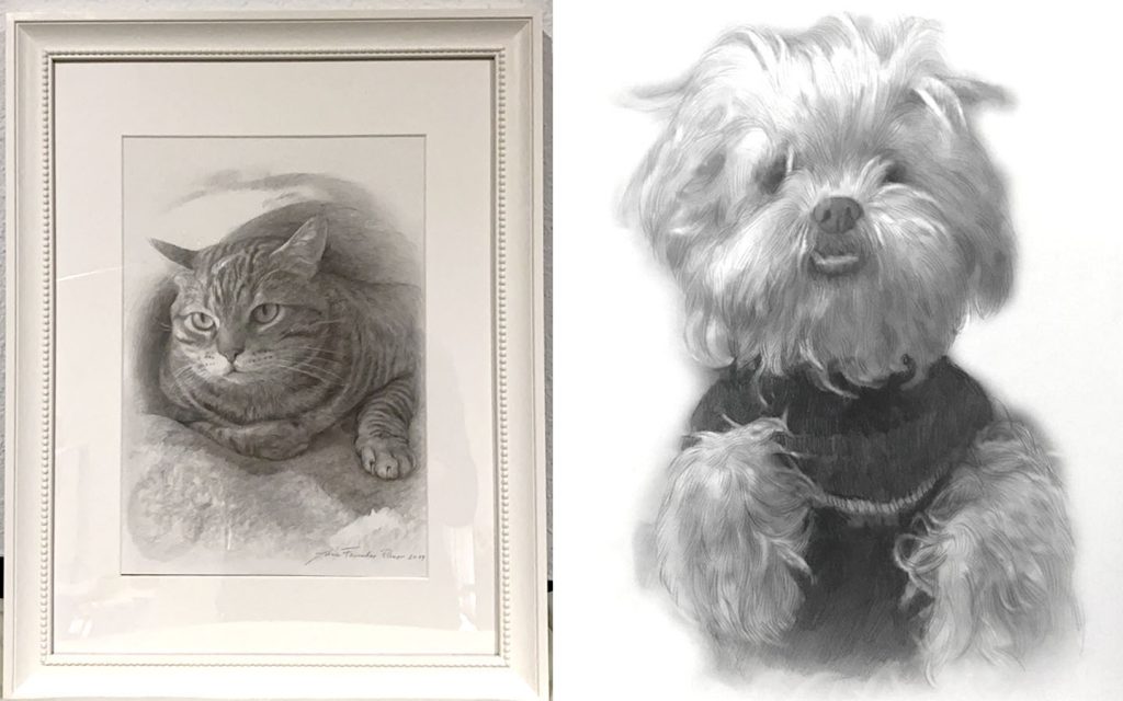 dibujos de gatos a lapiz