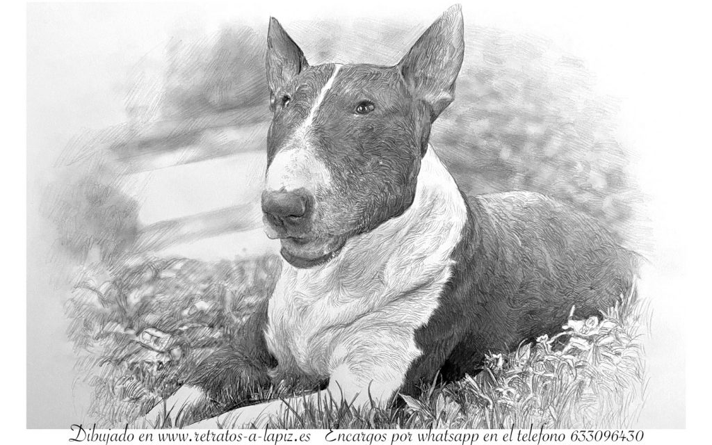 Retrato de perro por encargo