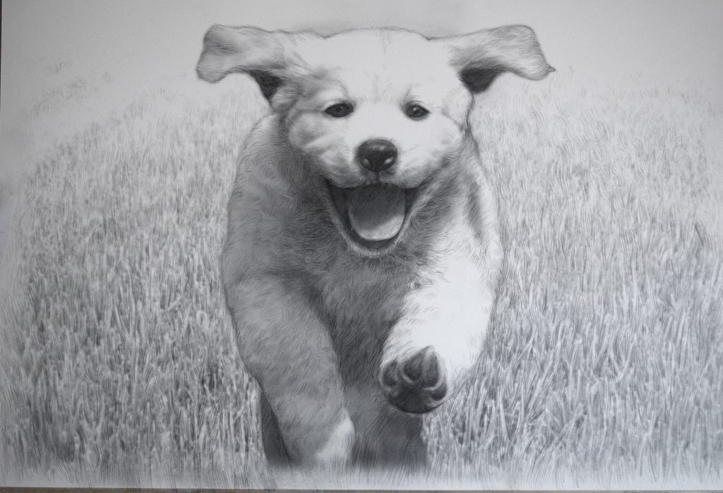 Dibujo de perrito corriendo a lápiz