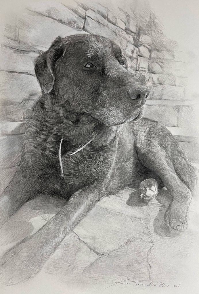 Retrato a lápiz de perro