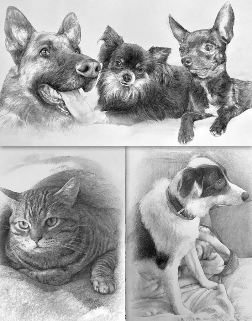 Retratos de mascotas a lápiz