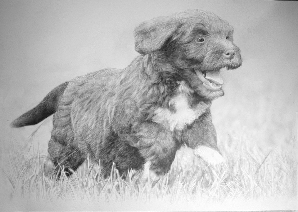 Dibujo de perro corriendo hecho a lápiz