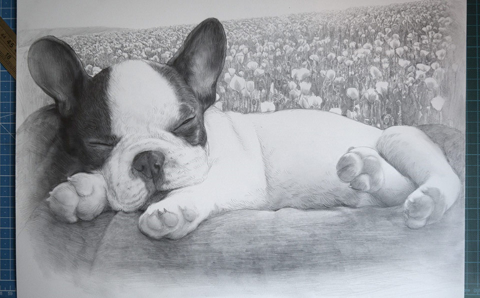 Dibujo a lápiz de perro dormido
