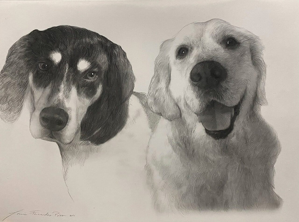 Retrato a lápiz de dos perros