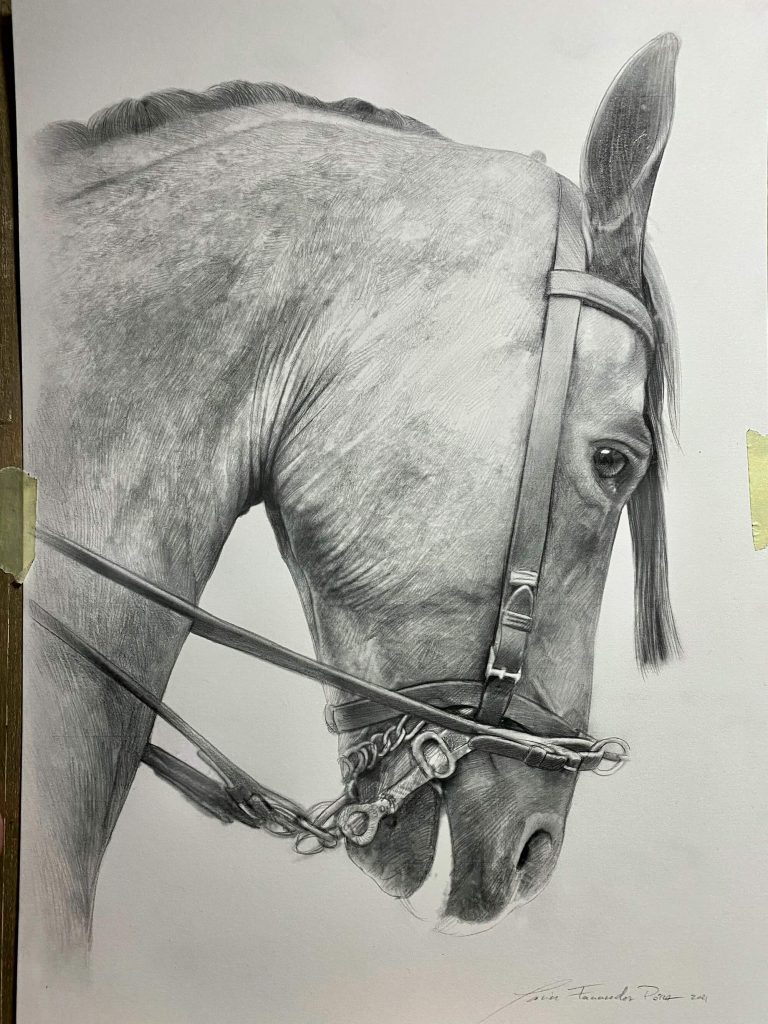 retrato de caballo a carboncillo
