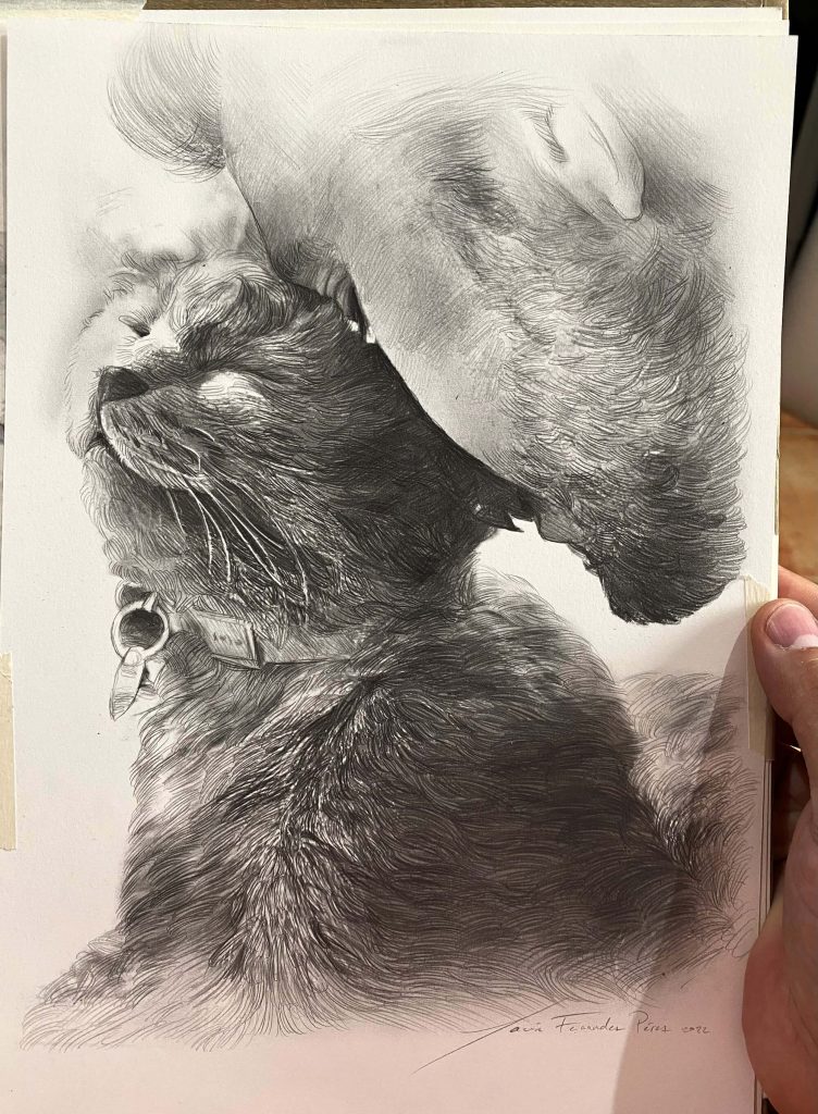retratos de gatos a lapiz