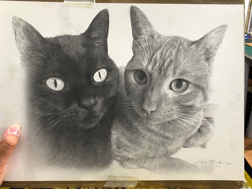 retratos de gatos a lapiz