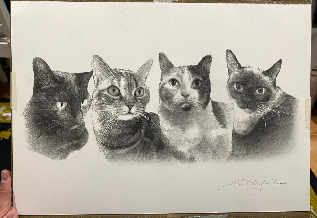 retratos de gatos
